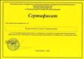 Обучение на семинаре по освоению государственной комплексной образовательной программе по дошкольному образованию "Сообщество" (стартовый тренинг), 2009 год