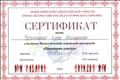  Участник педагогической творческой мастерской "Панорама успеха", 2016 год